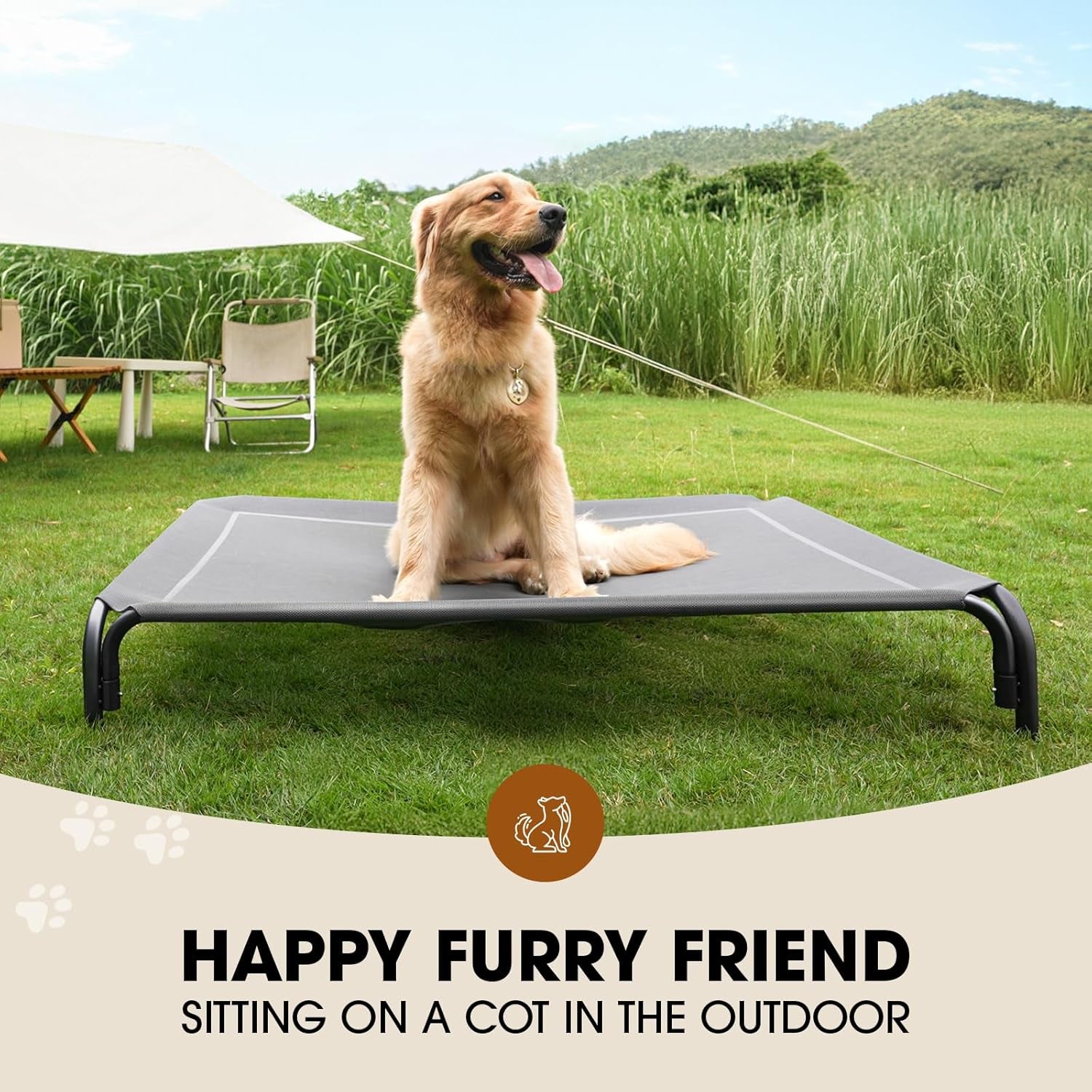 Elevated Dog Cooling Bed